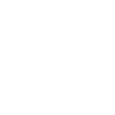 netfox icon alt